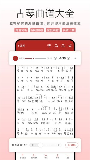 国琴网