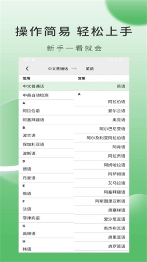 Lingo实时翻译最新版