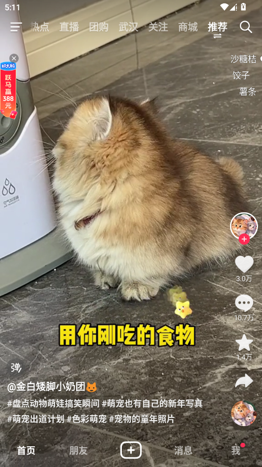 抖音app2026最新版