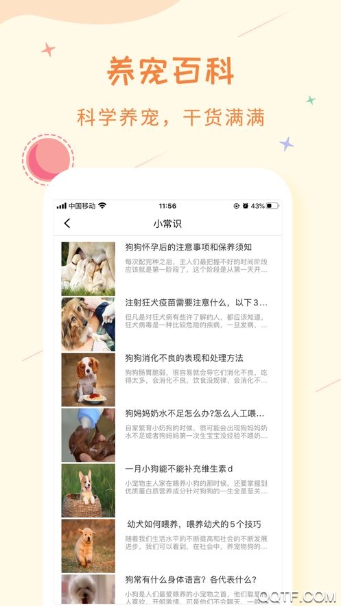 爱宠纪app安卓版