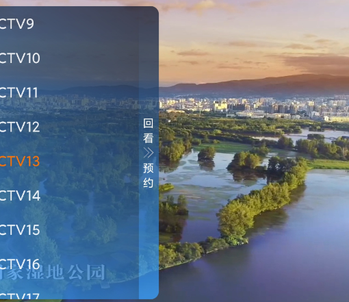 霓虹视界TV电视版app