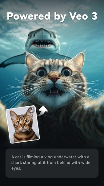 FilmoraGo 官方正版v15.3.61
