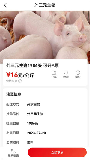 国家生猪市场