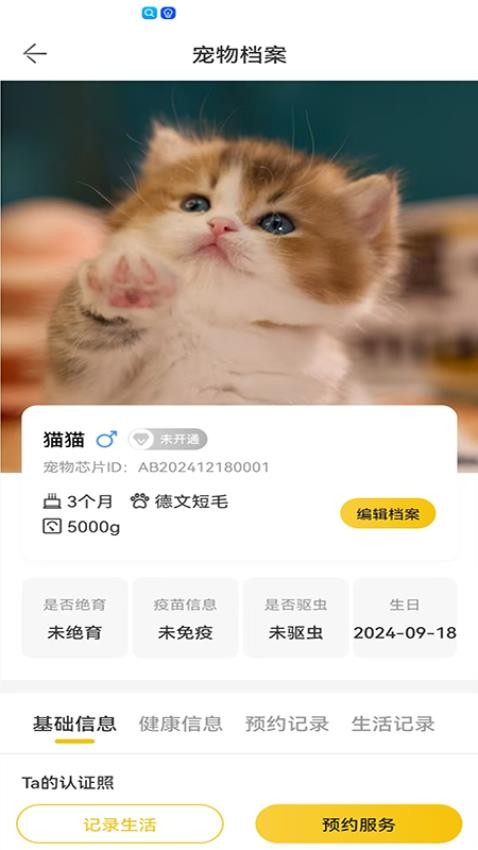 超级彼得最新版