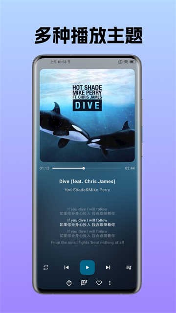 棉花音乐 高级版v4.12.2
