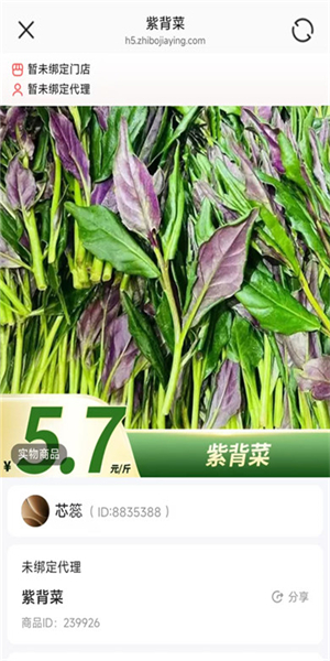 小蛋优选