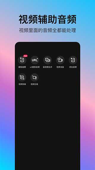 音编美声app 正版v8.7.4.8
