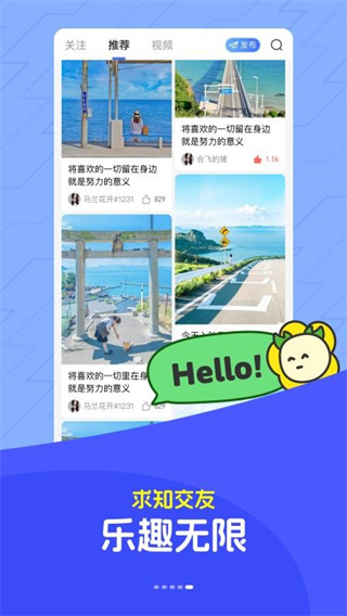 马兰花开