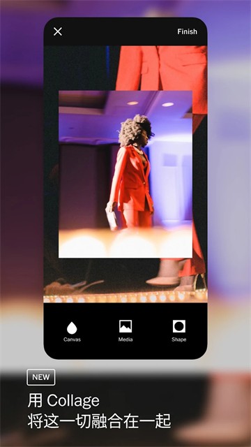 VSCO 中文版v463.1