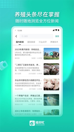 猪邦忙养猪