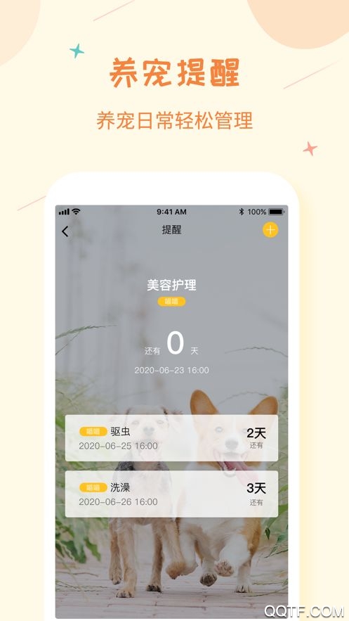 爱宠纪app安卓版