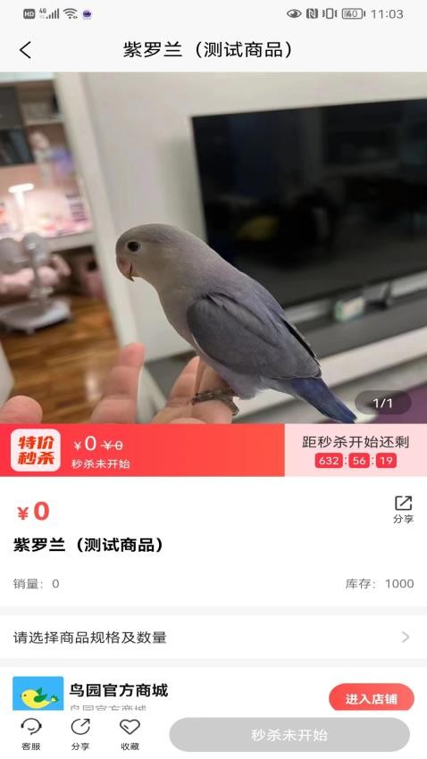 鸟园最新版