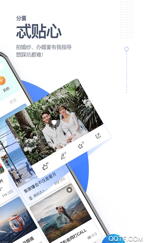 分蛋app