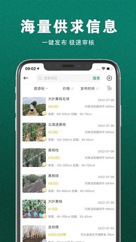 苗来苗往app
