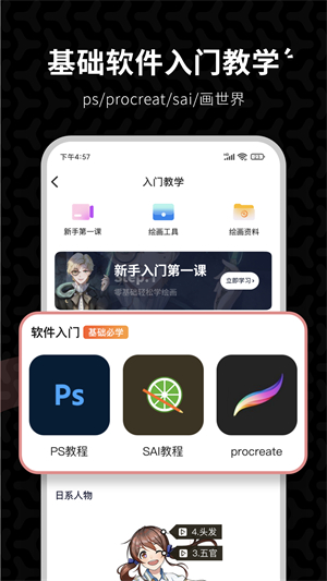 羊驼绘画