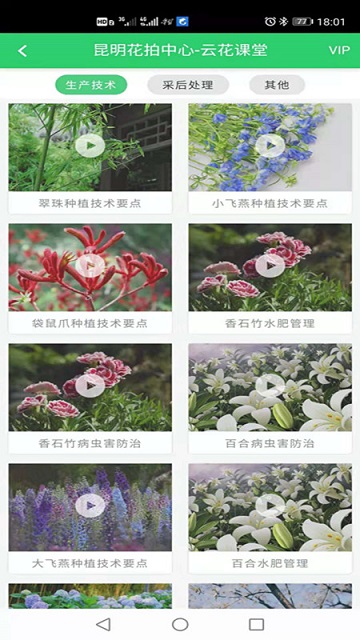 花拍服务供app官方版