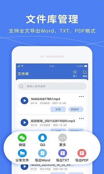 语音转文字精准专家软件
