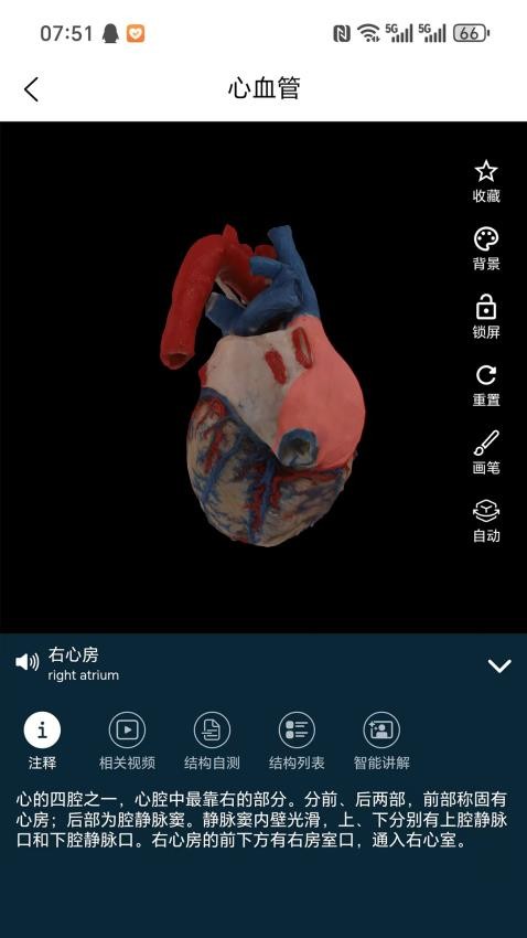 云解剖官方版