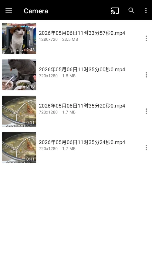 DNPlayer本地播放器app官方版