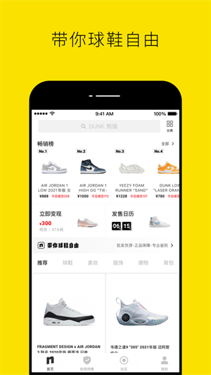 nice软件