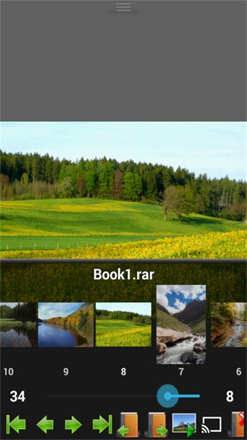 Perfectviewer捐赠版