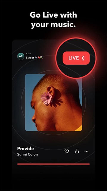 TIDALapp 官方版v2.203.0