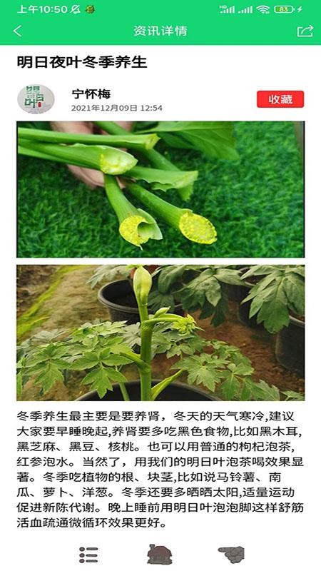 家庭桃源app