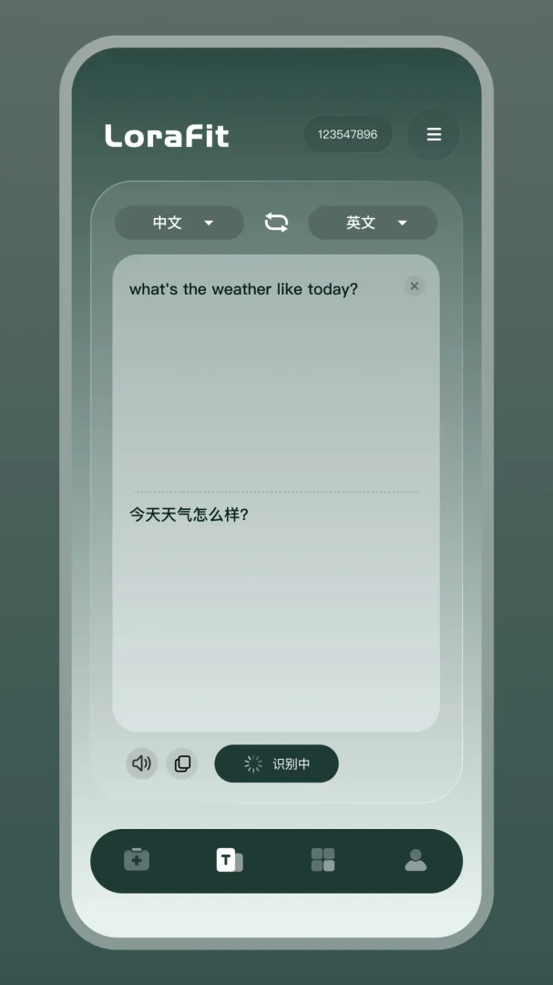 LoraFit-穿搭助手
