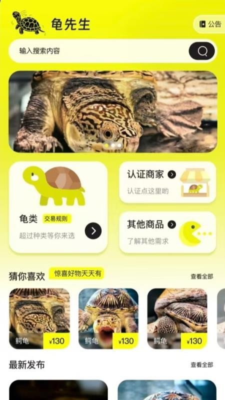 龟先生最新版
