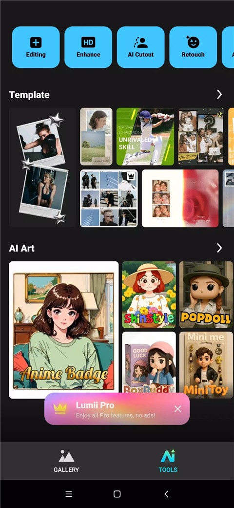 Lumii - Photo Editor 安卓版v2.019.200