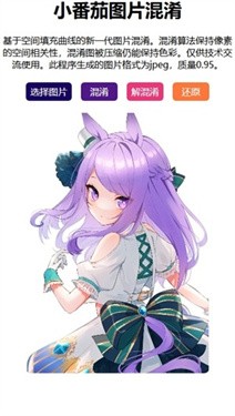 小番茄图片混淆工具app v1.1