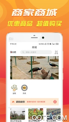 休闲合肥最新版