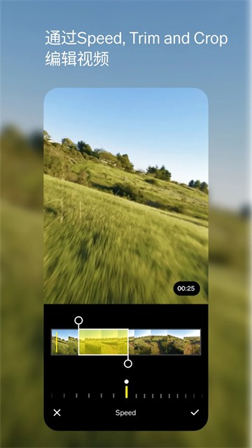 VSCO 中文版v463.1